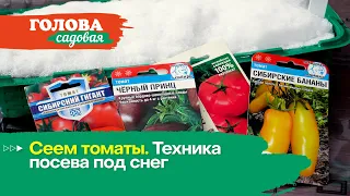 Голова садовая - Сеем томаты. Техника посева под снег