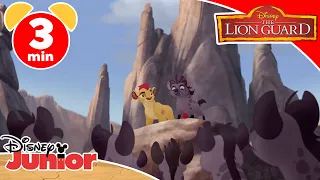 The Lion Guard | Music Compilation - Disney Junior Italia