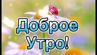 Доброе утро! Счастливого и Радостного дня! 🍓🍓💌