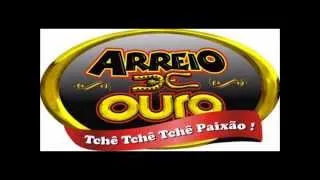 arreio de ouro seleçao vaquejadas 1