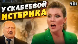 🤡Скабееву "порвало" от бредней Лукашенко. Истерика попала на камеру