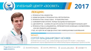 Коняев С. В. в УЦ «Зоовет» | Инфекционные заболевания, ч. 4