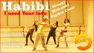 Habibi (I need Your love) - Shaggy Mohombi Faydee Costi