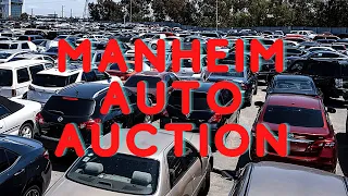 MANHEIM AUTO AUCTION PREVIEW & TEST DRIVE OF USED CARS | CAR DEALER AUCTION ACCESS