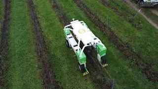 Robot agrícola TED