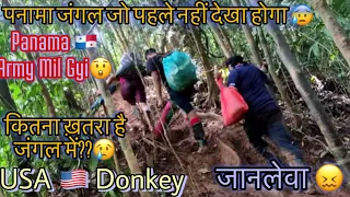 USA 🇺🇸Donkey Panama 🇵🇦 Jungle | Full Details Video | बहुत ख़ौफ़नाक India 🇮🇳 To USA 🇺🇸 Donkey