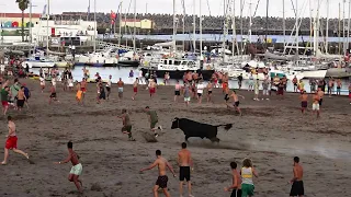 Tourada Festas Praia Da Vitória 13Ago2023 - Ganadarias (EG,HF,AL,FP) - Ilha Terceira - Açores