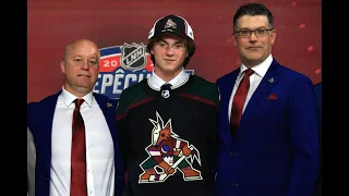 Recap of Every 2022 NHL Draft Pick from the Central Division