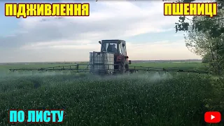 ФУНГІЦИДНА ОБРОБКА ТА ПІДКОРМКА ОЗИМОЇ ПШЕНИЦІ ПО ЛИСТУ | ЮМЗ-6 З ОПРИСКУВАЧЕМ | ГАЗ-53 (3307) 14.05