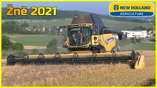 Žně 2021 🌾 | Sklizeň Ozimého Ječmene | 2 kombajny v nasazení | Paseka, zemědělská a.s.