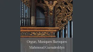 Concerto pour Orgue en La mineur BWV 593 : II. Adagio Senza Pedale A Due Claviere