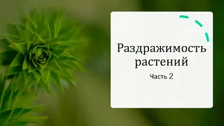 Раздражимость Растений (часть 2)