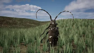 Mr Bug for Unreal 5