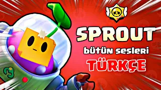 SPROUT BÜTÜN SESLERİ TÜRKÇE ANLAMI - Brawl Stars