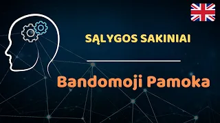 Anglų kalbos Sąlygos sakiniai - Bandomoji pamoka