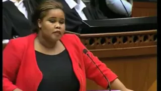 SONA 2013 Debate: 02 Leader of the Opposition DA