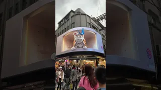 TAIWAN'S 3D BILLBOARD ARE TOTALLY MIND BLOWING 🤯💥