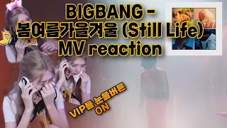 14년차 VIP의 빅뱅 봄여름가을겨울 MV 리액션 (오열주의) | bigbang still life mv reaction