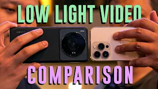 Does a big sensor mean better low-light video? | Xiaomi 12S Ultra vs iPhone 13 Pro | DWIBAHASA