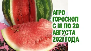 Агрогороскоп с 18 по 20 августа 2021 года