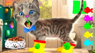 LITTLE KITTEN ADVENTURE AND FUNNY CAT - CARTOON KITTEN ADVENTURE - CUTE ANIMAL VIDEOS