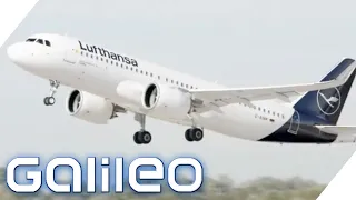 Lufthansa in der Krise: So will die Airline nach Corona wieder durchstarten | Galileo | ProSieben