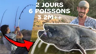 Silures au cassant en Loire sur 2 jours