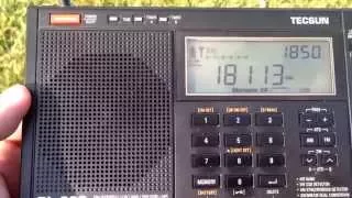 Ham radio chat on 17 meters with Tecsun PL 680