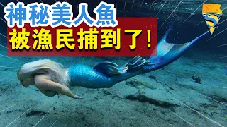 中國廣西漁民捕到了“美人魚”，神秘的人魚一族真的現身了嗎？