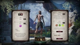 Lets Play | Divinity Original Sin 2 | Co-Op | Character Creation