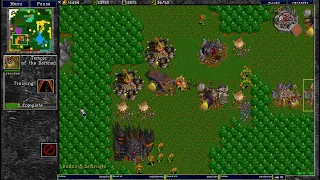 Warcraft 2 2.1.2024