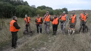 Відкриття полювання 2015р. на фазана в КМП "Золотий Фазан"