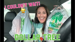 I Couldn’t Wait! DOLLAR TREE CAR HAUL | No Way That’s Only $1.25!