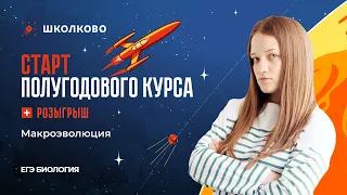 Макроэволюция. СТАРТ Полугодового курса к ЕГЭ-2023 по биологии+РОЗЫГРЫШ🎁