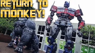 Rise Of The Beasts Optimus Prime & Optimus Primal Statue Showcase | Taronga Zoo, Sydney Australia