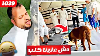 فهد العرادي سناب [ 1039 ] دش علينا كلب 🐕🤣🔥