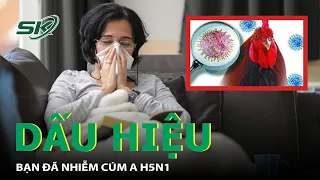 Dấu Hiệu Bạn Đã Nhiễm Cúm A H5N1 | SKĐS