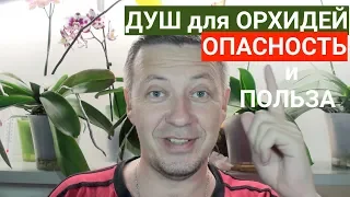 ДУШ для ОРХИДЕЙ теплый и горячий, в чем ПОЛЬЗА и ОПАСНОСТЬ