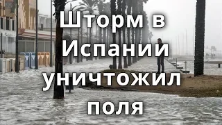 Штормовой нагон во время шторма Глория достиг 3 км вглубь Испании