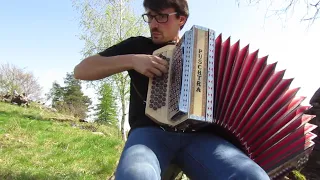 Fröhliche Musikanten mit Steirischen Harmonika