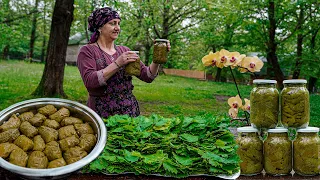 Azerbaijani Cuisine! - Azerbaijani Stuffed Food Made from Grape Leaves Collected from the Garden