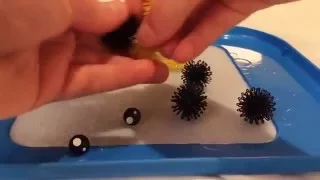 How to make a bee