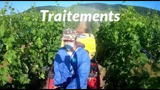 Traitement des vignes - 2023