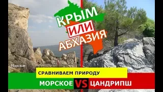 Морское или Цандрипш | Сравниваем природу! Крым VS Абхазия - что лучше?