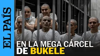 EL SALVADOR | Dentro del CECOT, la cárcel de pandilleros de Bukele | EL PAÍS