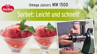 So machst du mit der MM 1500 ein leckeres Sorbet