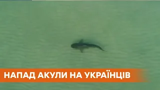 У Єгипті акула напала на українську сім'ю