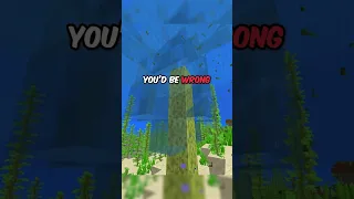 Draining Minecraft's Ocean With This OP Method...