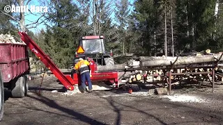 Polttopuun tekoa / Making firewood / Japa 2000