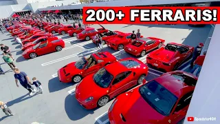 LARGEST Ferrari Gathering Ever! Enzo, F40, SF90, 250 SWB, Monza SP2, F430 Scuderia, 360 CS, 599 GTO